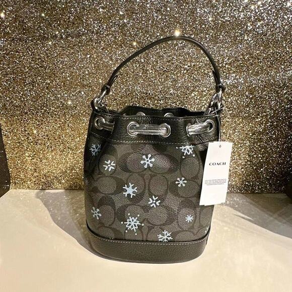 Coach CE587 Dempsey Drawstring Bucket Bag 15 With Snowflake Print Silver/Graphit - Picture 5 of 9